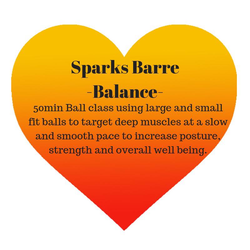 Adult Fitness Barre