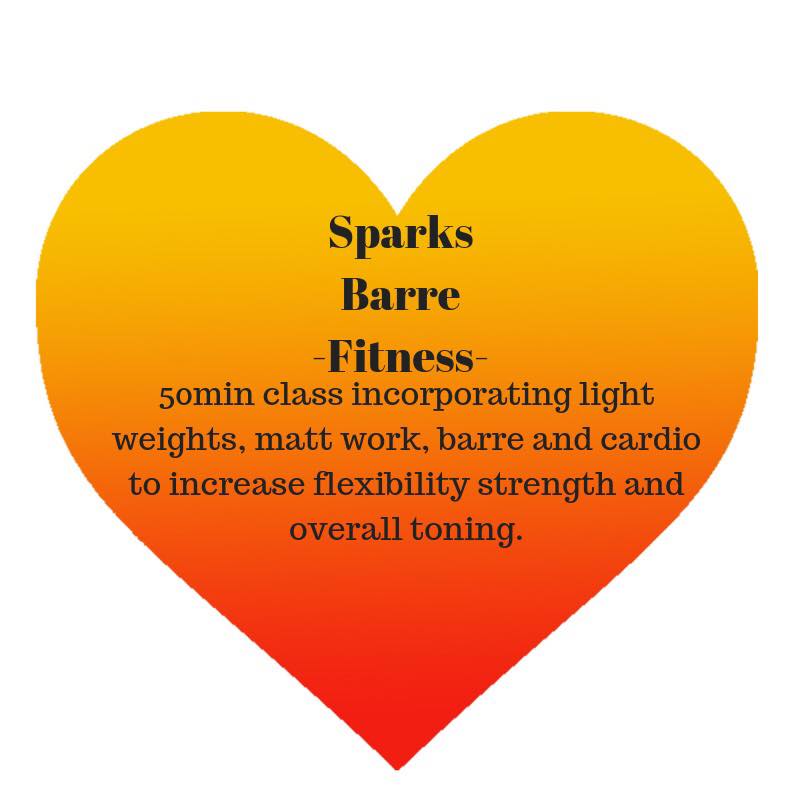 Adult Fitness Barre
